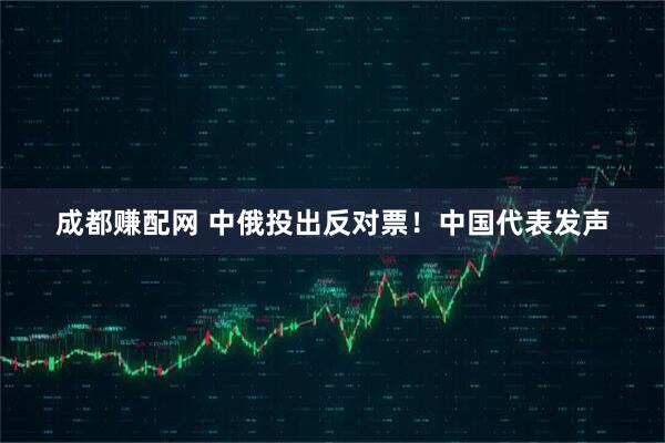 成都赚配网 中俄投出反对票！中国代表发声